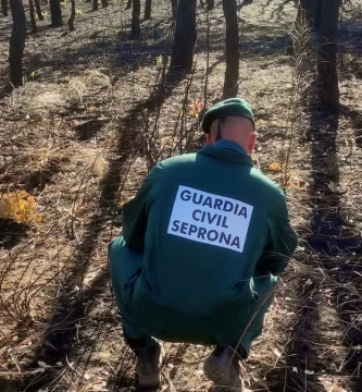 Un pastor investigado por ocho fuegos en Talayuela