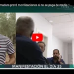 La unión Extremadura prevé movilizaciones si no se paga de media 1,18 € kilo aceitunas